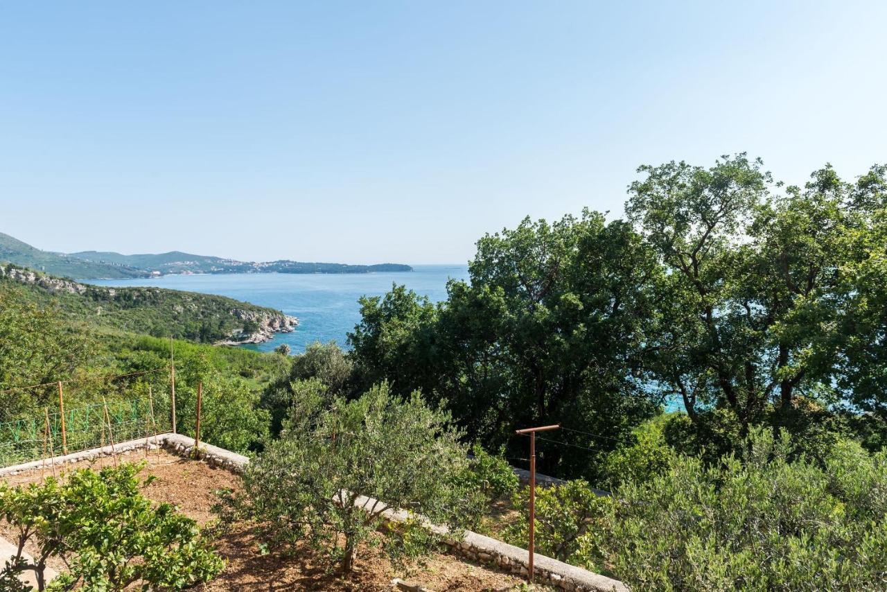 Villa Barbara Mlini Εξωτερικό φωτογραφία