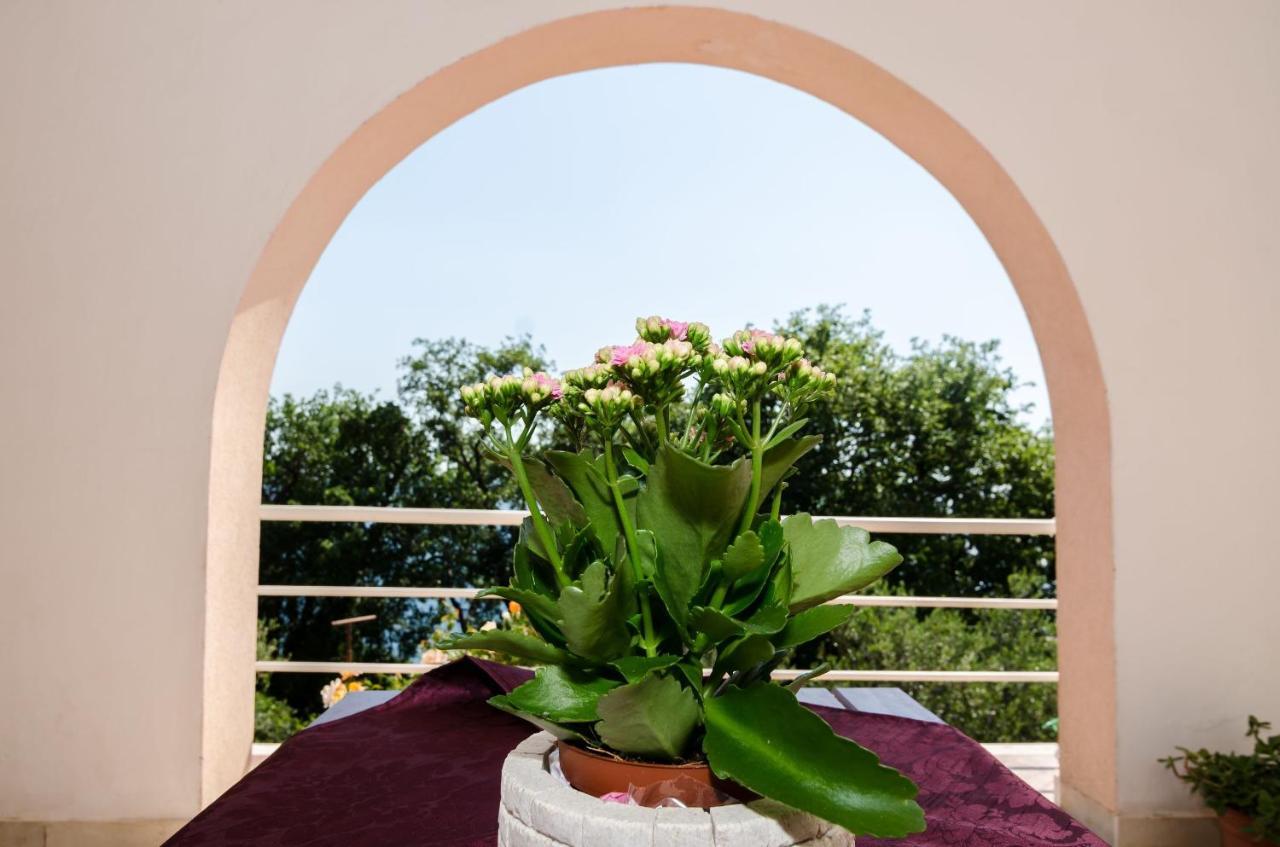 Villa Barbara Mlini Εξωτερικό φωτογραφία